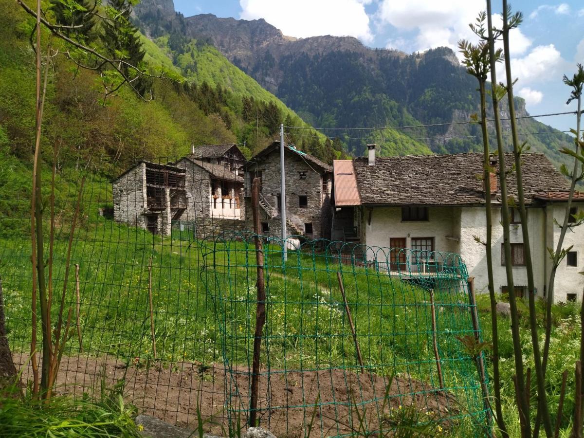 Il Fiume Di Fianco. Appartamento Alta Valsesia Mollia Kültér fotó